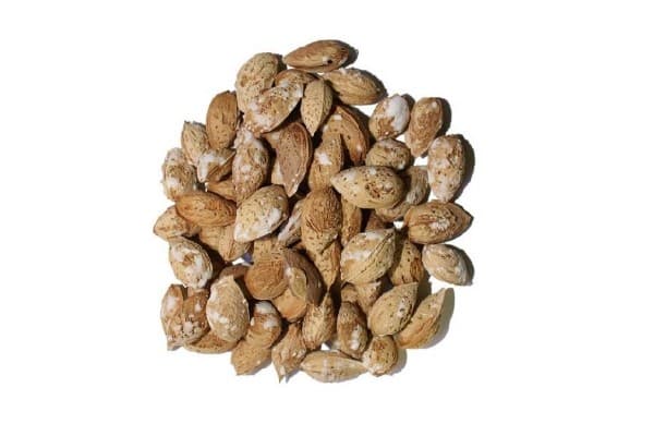 تصویر 2 از خرید بادام پوست کاغذی شور + قیمت عالی باکیفیت